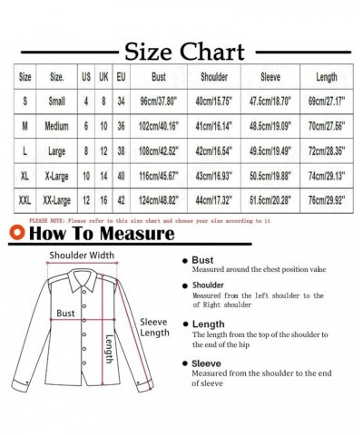 Christmas Print Womens Tops Fall Winter Casual Dressy V Neck Pleated T Shirts Trendy Long Lantern Sleeve Button Down Blouse H...