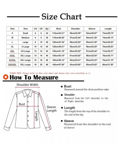 Women 2023 Winter Coats Fuzzy Fleece Lined Sherpa Thicken Jacket Outdoor Warm Zip Fluffy Hoodie Outerwear Fall Outfits Women ...