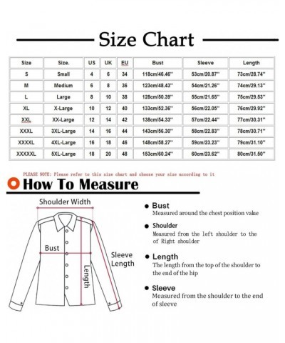 Women 2023 Winter Coats Fuzzy Fleece Lined Sherpa Thicken Jacket Outdoor Warm Zip Fluffy Hoodie Outerwear Fall Outfits Women ...